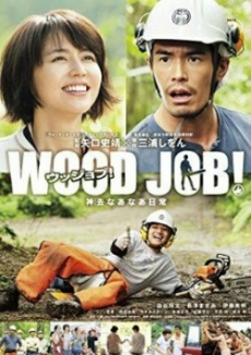 Wood Job แดดส่องฟ้าเป็นสัญญาณวันใหม่ (2014)