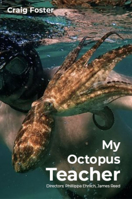 My Octopus Teacher บทเรียนจากปลาหมึก (2020)