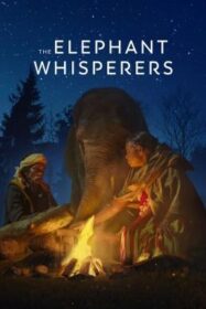 The Elephant Whisperers คนกล่อมช้าง (2022) NETFLIX